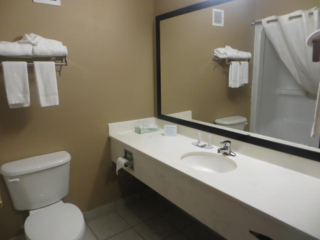 Baymont By Wyndham New Buffalo Zimmer foto
